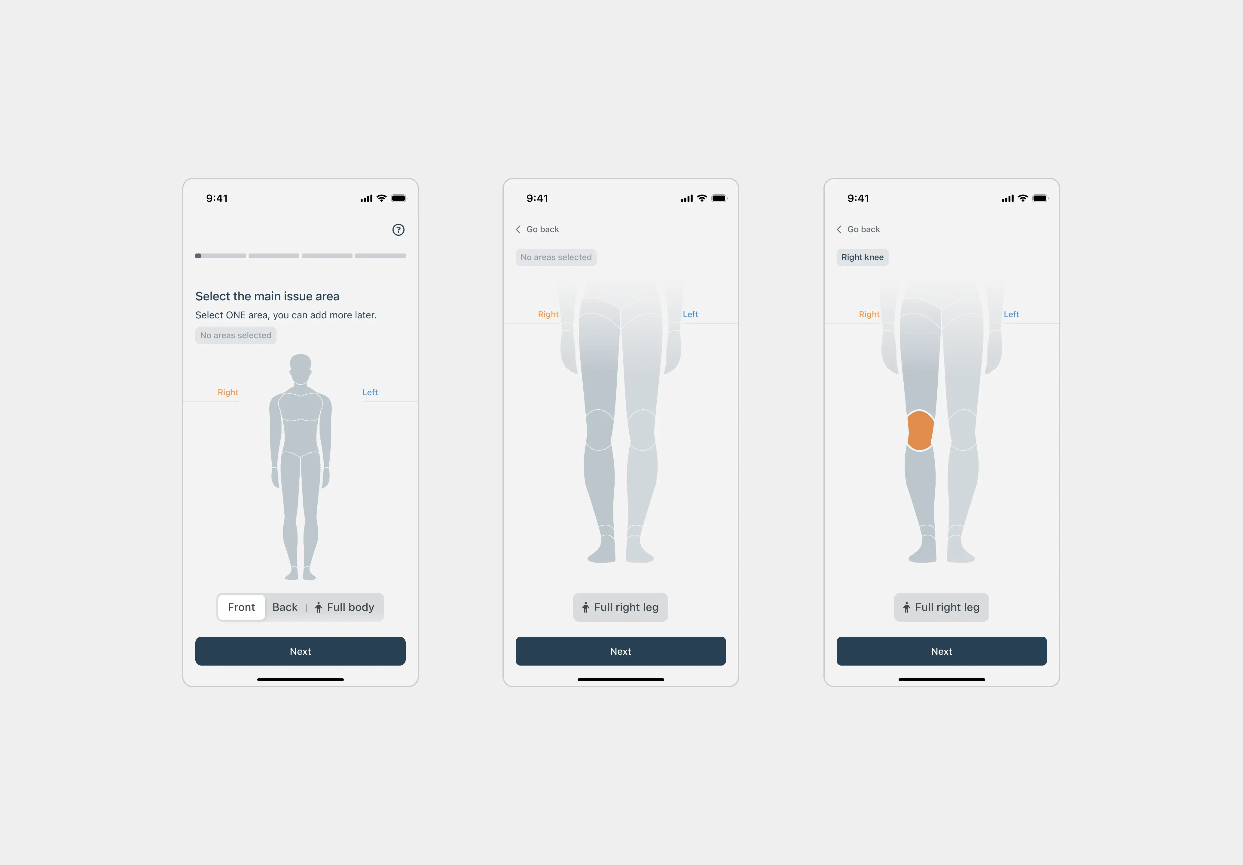 Patient workflow for selecting a main issue on a interactive body chart